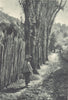 CHILE. Tenaun (Chiloé) . Chiloe 1932 old vintage print picture