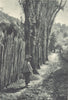CHILE. Tenaun (Chiloé) . Chiloe 1932 old vintage print picture