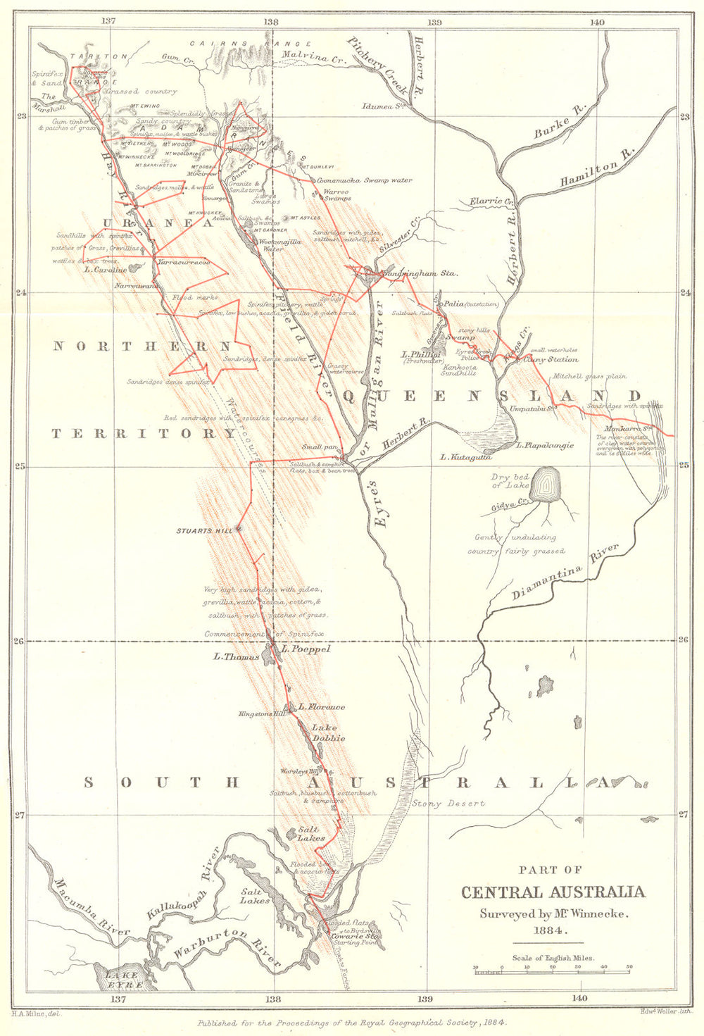 CENTRAL AUSTRALIA.Simpson/Sturt Stony deserts.Winnecke.QLD NT SA.RGS 1884 map