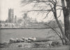 CAMBRIDGESHIRE. Ely Cathedral 1900 old antique vintage print picture