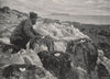 FARNE ISLANDS. Cormorants' Nests. Northumberland 1900 old antique print