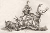 ORFORD. Coat of Arms. Heraldry 1790 old antique vintage print picture