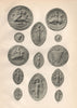 13-14C SEALS. Lacy Herst Ferrers Charwelton appelby Quincy Longespee 1907