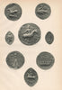 12-13C ENGLISH SEALS. Vaux Ansis Gorram Romare Little Butler Aubeney 1907