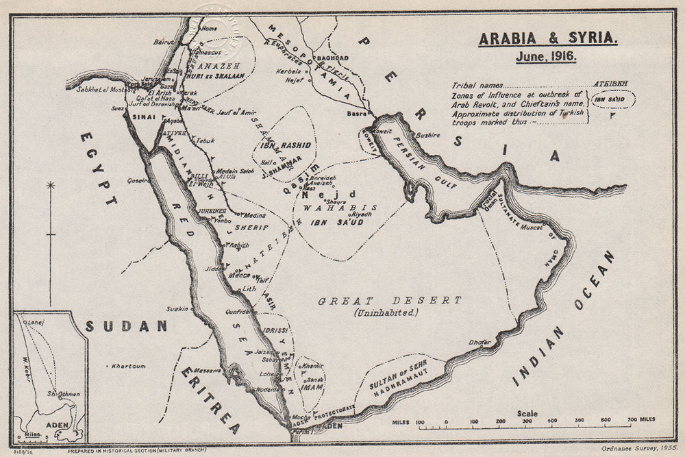 ARAB REVOLT 1916.tribal & chieftain names.Turkish troop positions.WW1 1935 map