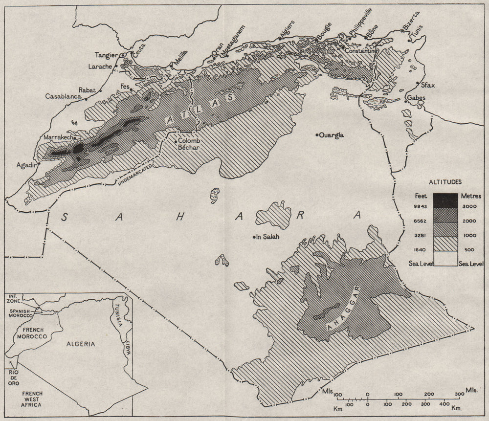 NORTH AFRICA. Algeria French Spanish Morocco. WW2 R NAVY INTELLIGENCE MAP 1943