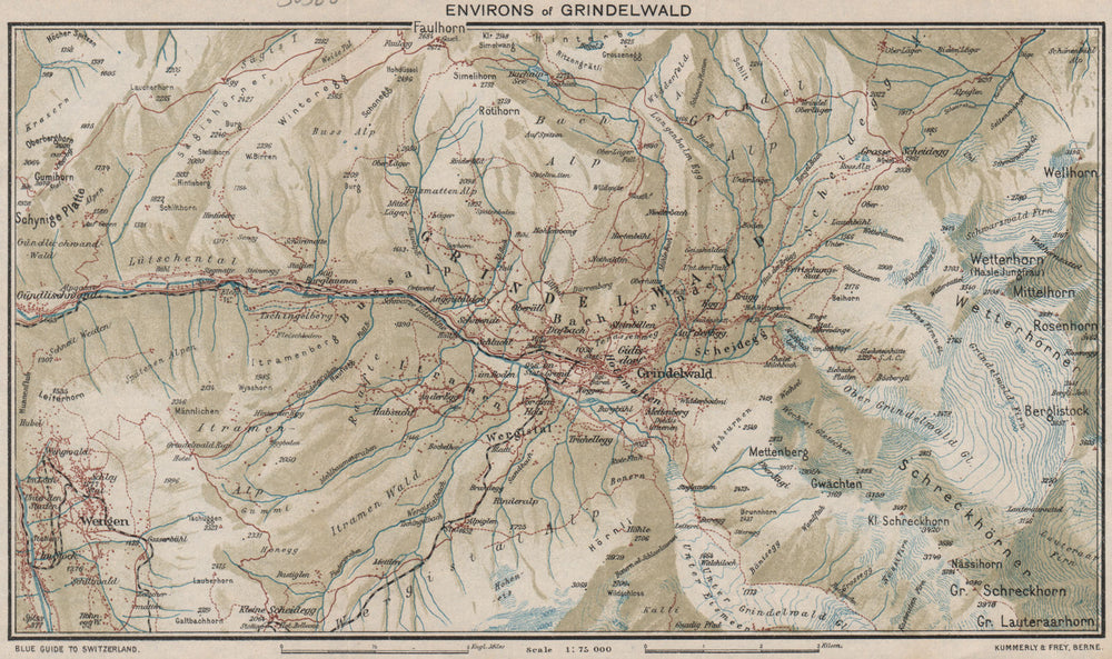 GRINDELWALD ENVIRONS. Wengen Faulhorn Lauterbrunnen. Vintage map plan 1930