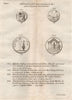 ANCIENT GREEK MEDALS COINS. Arcadie (Arcadia) Cnide Samos 1790 old print