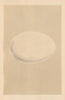 BRITISH BIRD EGGS. Hooper. MORRIS 1866 old antique vintage print picture
