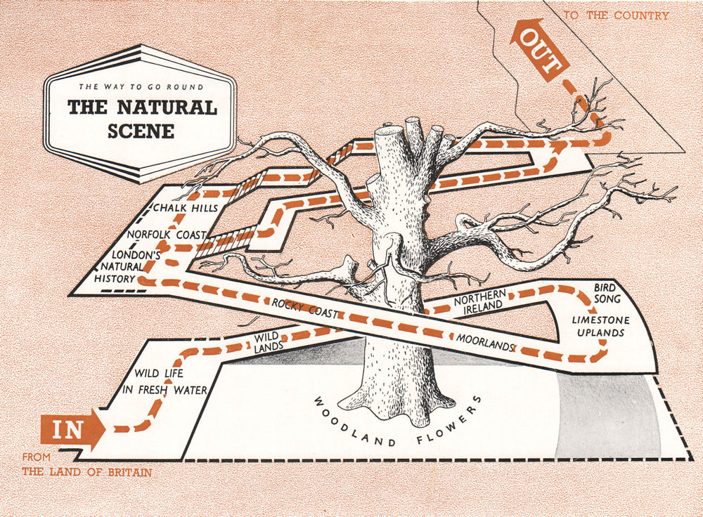 FESTIVAL OF BRITAIN. The natural Scene exhibit. Tour plan 1951 old vintage map