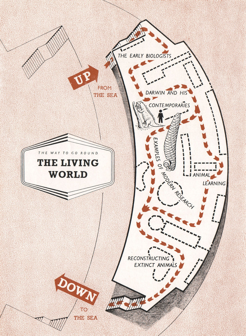 FESTIVAL OF BRITAIN. The living World exhibit. Tour plan 1951 old vintage map