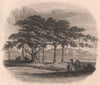BRITISH INDIA. Encampment near Ropar (Rupnagar) on the Sutlej 1858 old print