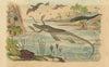 DINOSAURS. Animaux Perdus. Various extinct animal species 1833 old print