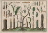 TREES. Greffes (Grafts) 1833 old antique vintage print picture