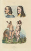 CAUCASIAN RACE. Caucasoid Caucasique. Skulls faces 1833 old antique print
