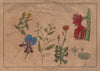 LINNAEUS' FLOWER CLOCK. Horloge de Flore II. Horologium Florae 1833 old print