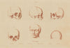 PHREONOLOGY. Unterberger. Ceracchi. Prussian thief. Breguet. Gresset 1833