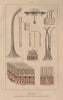 SKIN. Physiology. Structure et fonctions de la Peau. Pores. Hair 1833 print