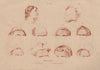 FOREHEADS. Fronts. Profile of a Devotee. physiognomy 1833 old antique print