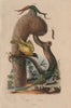 TEXTILES. Tipula. Tisserin (Baya Weaver) 1833 old antique print picture