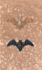 BATS. Oreillard (Long-eared Bat); Chauve-Souris (Bat). BUFFON 1837 old print