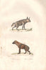 HYENAS. Hyène rayée (Striped Hyena); Hyène tachetée (Spotted Hyena). BUFFON 1837
