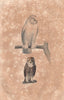 OWLS. Harfang (Snowy Owl); Chevêche (Little Owl). BUFFON 1837 old print