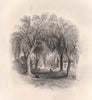 LEYDEN STREET, PLYMOUTH, Massachusetts. Pilgrim fathers. BARTLETT 1854 print