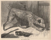 DOGS. Mr. Jamison's Sport 1881 old antique vintage print picture