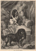 DOGS. Early type of Toy Spaniels 1881 old antique vintage print picture
