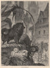 DOGS. Black Pomeranian 1881 old antique vintage print picture