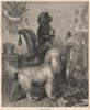 DOGS. German Poodles 1881 old antique vintage print picture