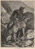 DOGS. Scotch Deerhounds 1881 old antique vintage print picture