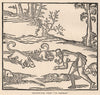 DOGS. Dachshunds, from 