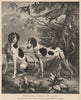 DOGS & GAME by Desportes (c1700). Early Foxhound/Pointer cross in France 1881
