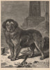 DOGS. Herr Friedrich's Berghund 