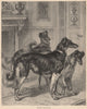 DOGS. Siberian Wolfhounds 1881 old antique vintage print picture