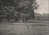 Richmond Park. London 1896 old antique vintage print picture