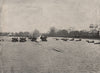 The Boat race (1895), from Barnes Bridge. London. Rowing 1896 old print