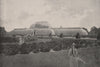 The Palm House, Kew Gardens. London 1896 old antique vintage print picture