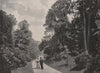 The Rhododendron walk, Kew Gardens. London. Parks 1896 old antique print