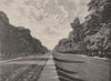 Chestnut Avenue, Bushy Park. London 1896 old antique vintage print picture