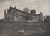 St. Albans Abbey, from The South-West. Hertfordshire. Churches 1896 old print