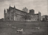 St. Albans Abbey, from The South-West. Hertfordshire. Churches 1896 old print