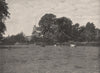 Twickenham Church. London. Churches 1896 old antique vintage print picture