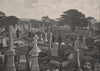 Highgate Cemetery. London 1896 old antique vintage print picture