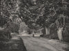 Burnham Beeches. Buckinghamshire. Landscapes 1896 old antique print picture