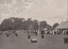Ladies' driving competition at the Ranelagh Club. London 1896 old print
