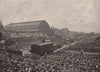 Olympia. London 1896 old antique vintage print picture