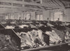 Ostrich Feathers at the Cutler Street Warehouses. London. Industry 1896 print